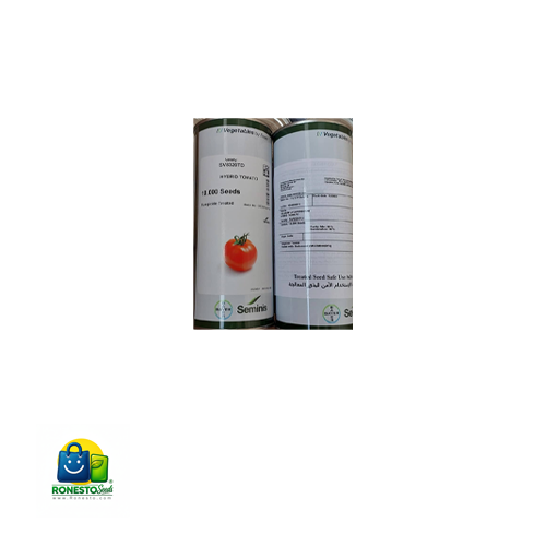 بذر گوجه فرنگی 8320/قیمت بذر گوجه