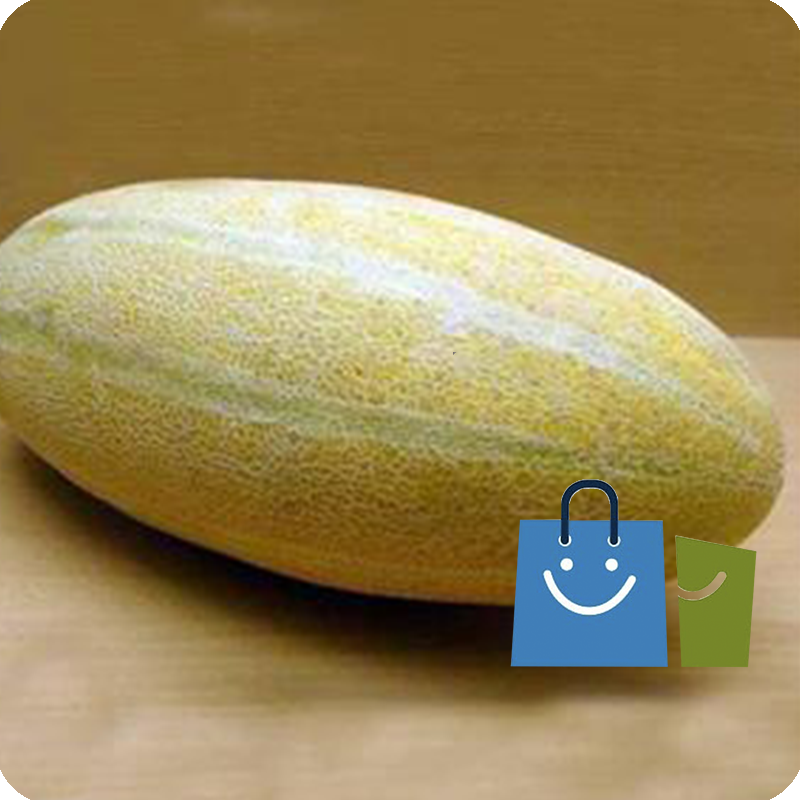 مینو روزنسید