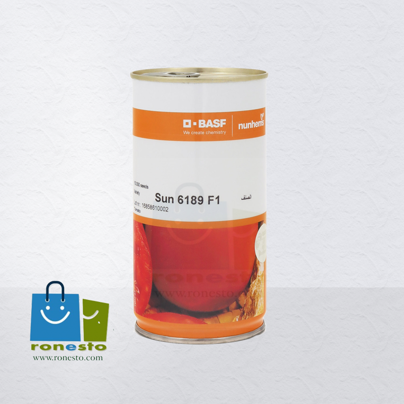 بذر گوجه فرنگی سانسید 6189