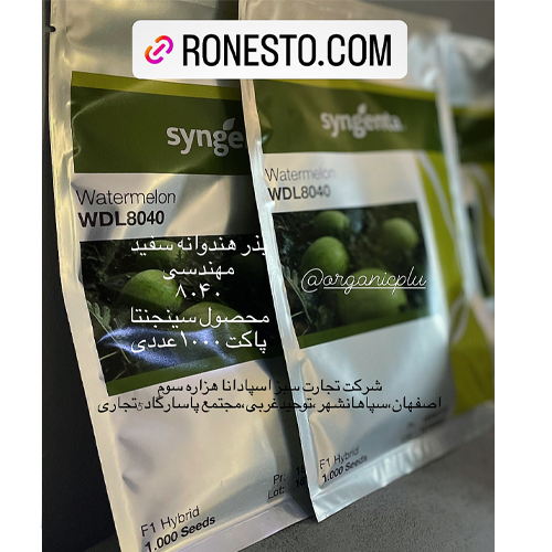 بذر 8040