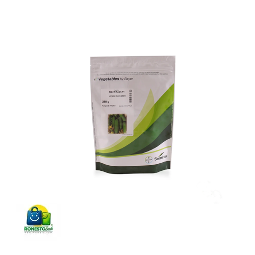 بذر خیار دو ان سمینیس