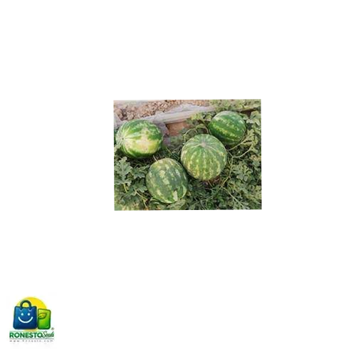 بذر هندوانه ارزان