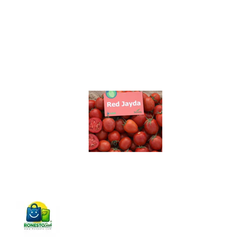 قیمت و خرید بذر گوجه رد جیدا فلات/فروشگاه بذر رونستو